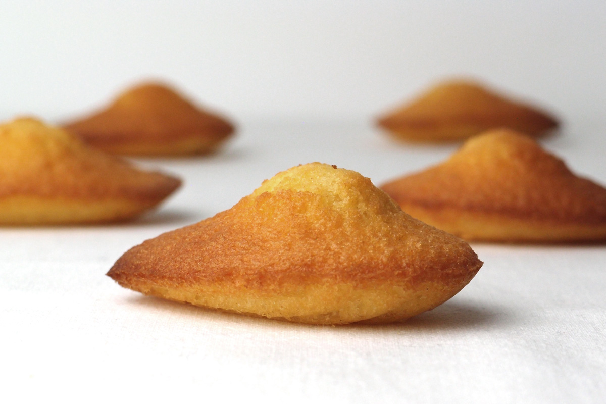 Madeleines à bosse